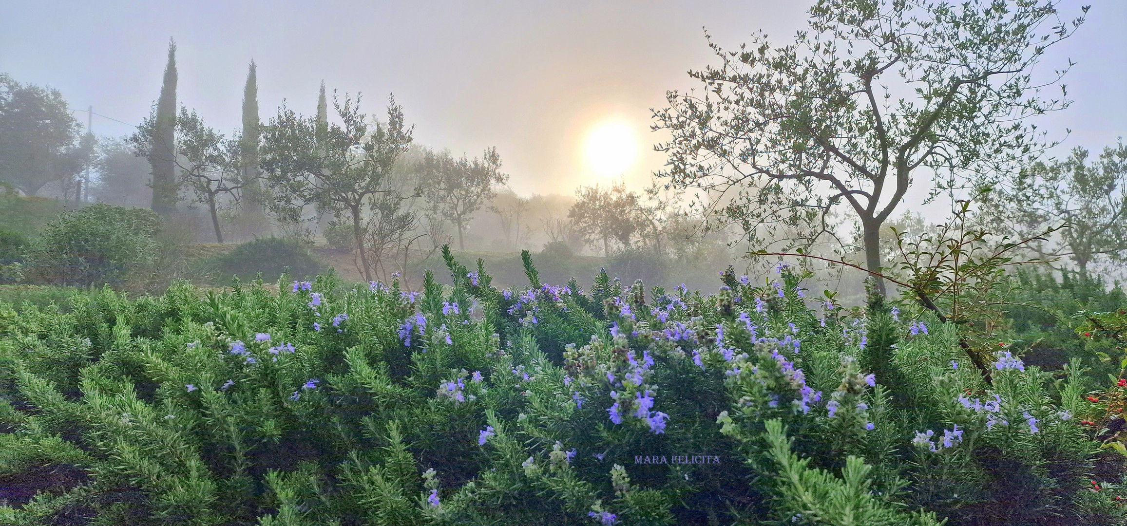 Sanftes Morgenlicht