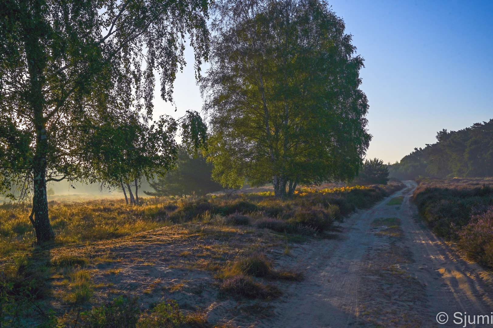 Sanftes Morgenlicht