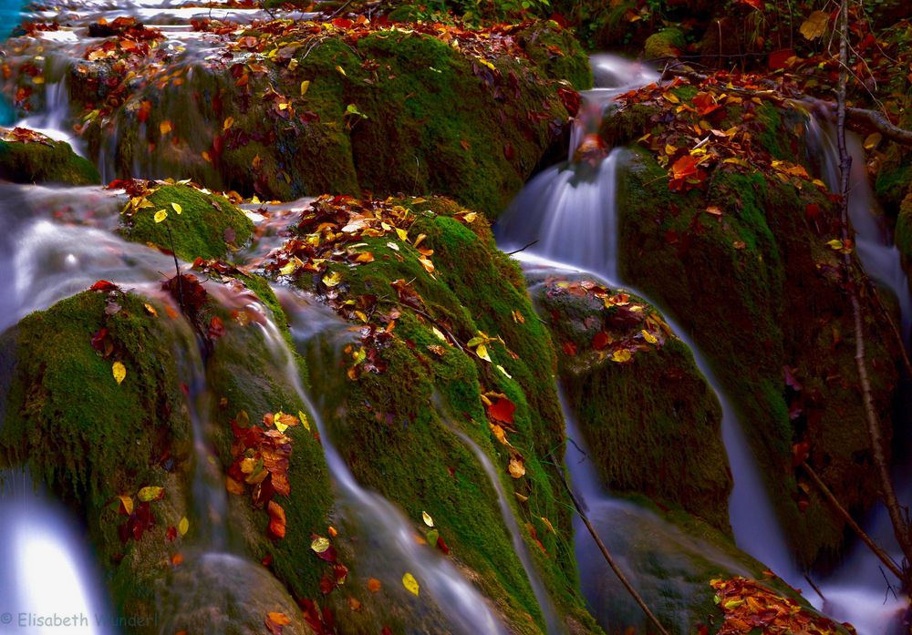 Sanftheit der Natur 