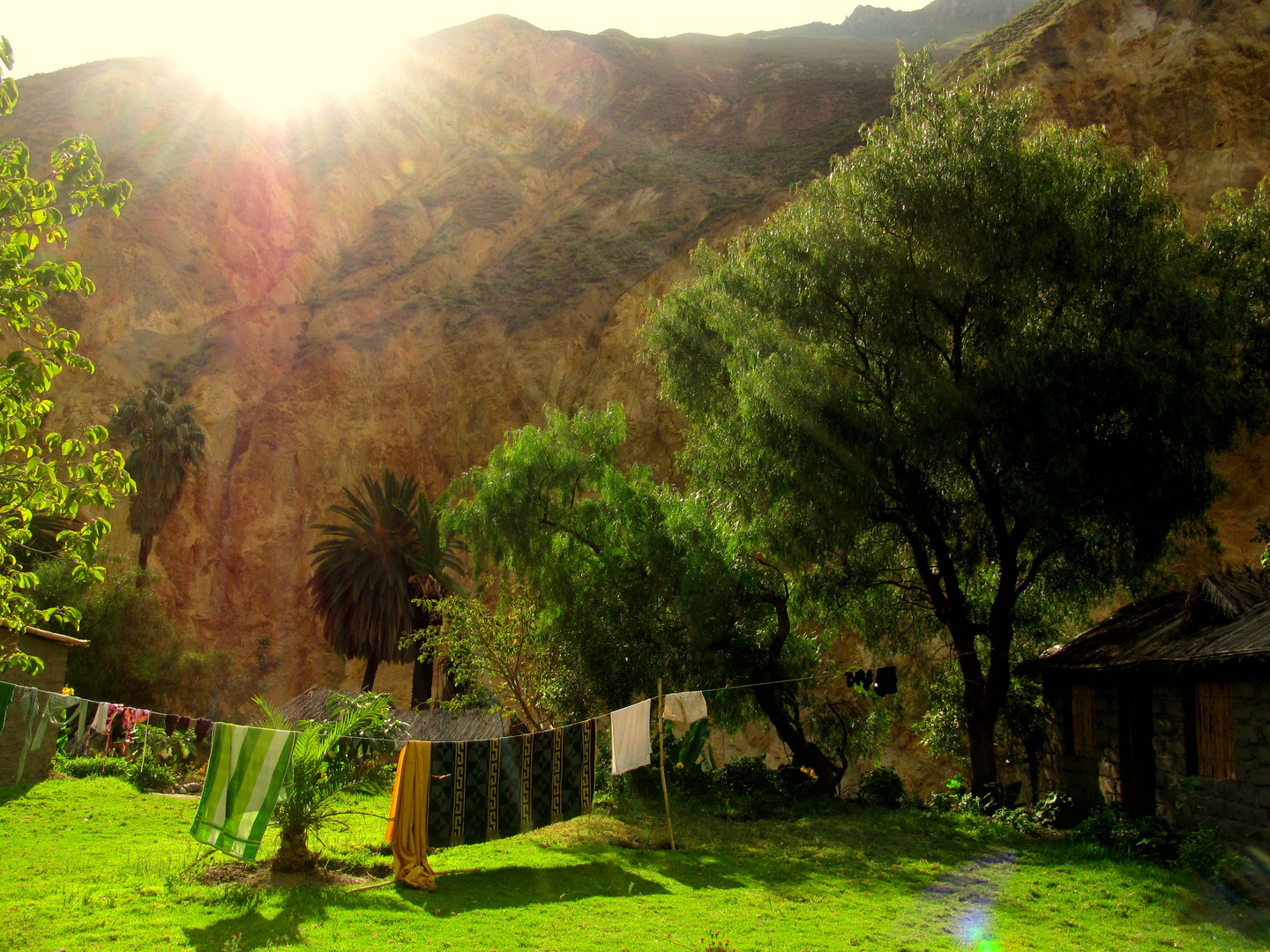 Sangalle (Colca Canyon)