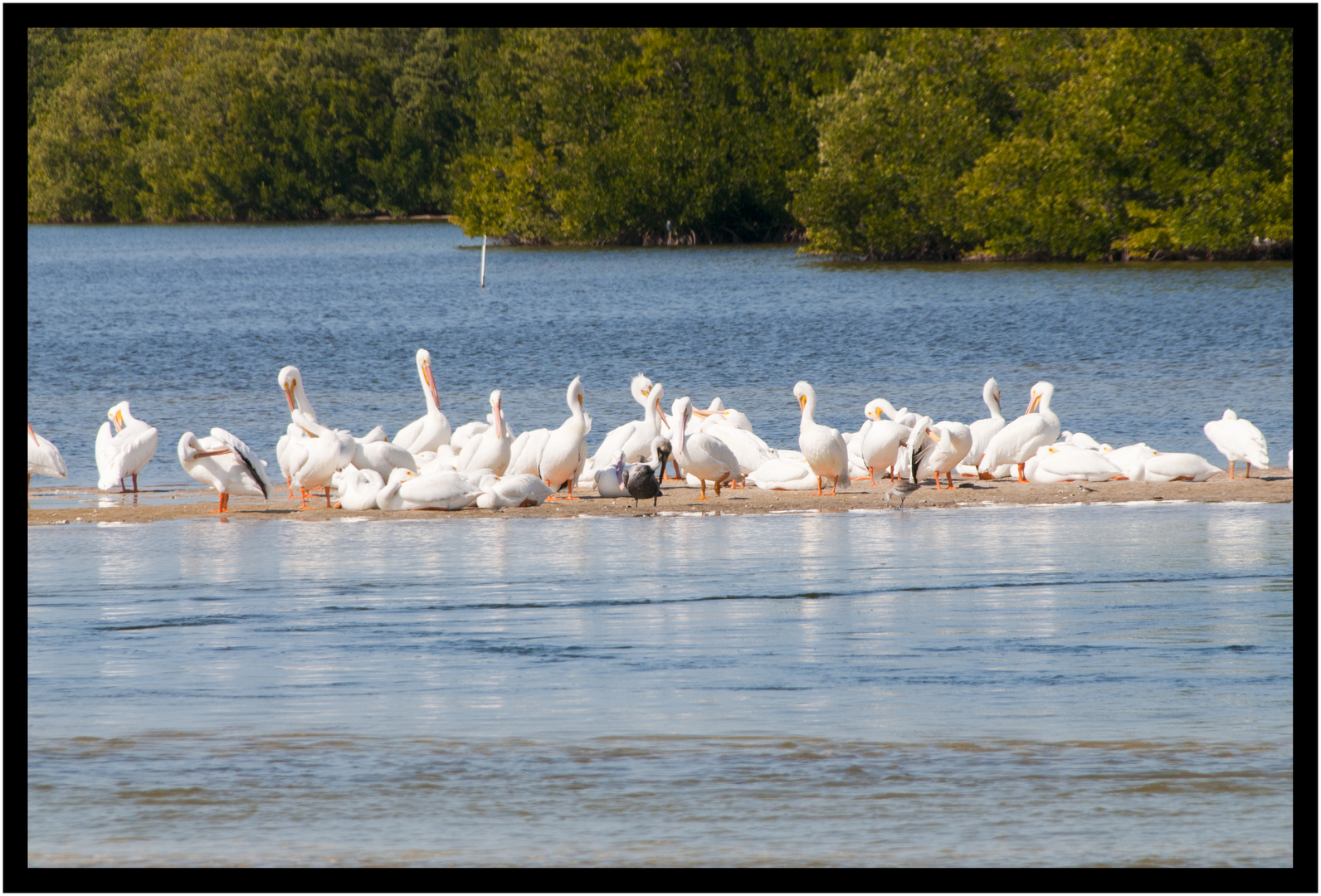 Sanibel Island