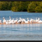 Sanibel Island