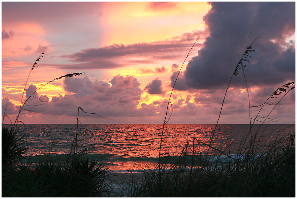 Sanibel Island / Florida