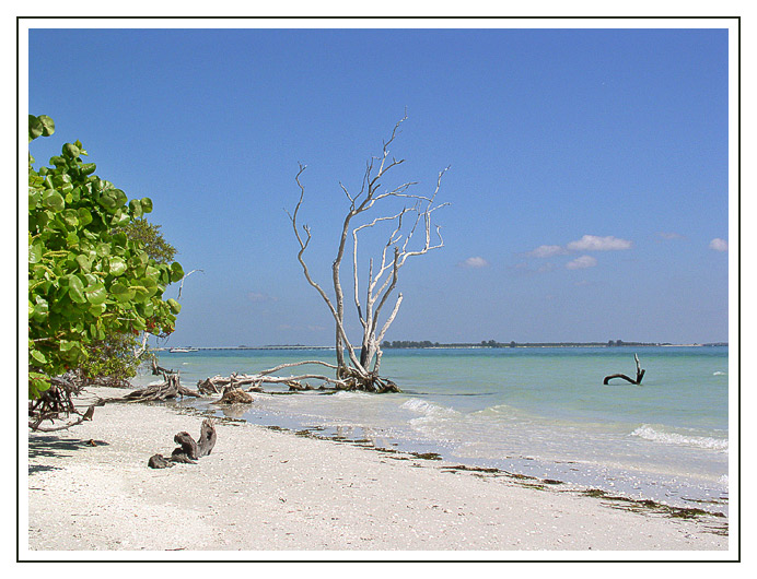 Sanibel Island - Florida