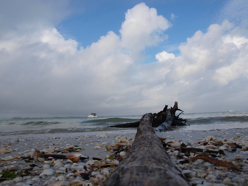 Sanibel Island, Florida, USA