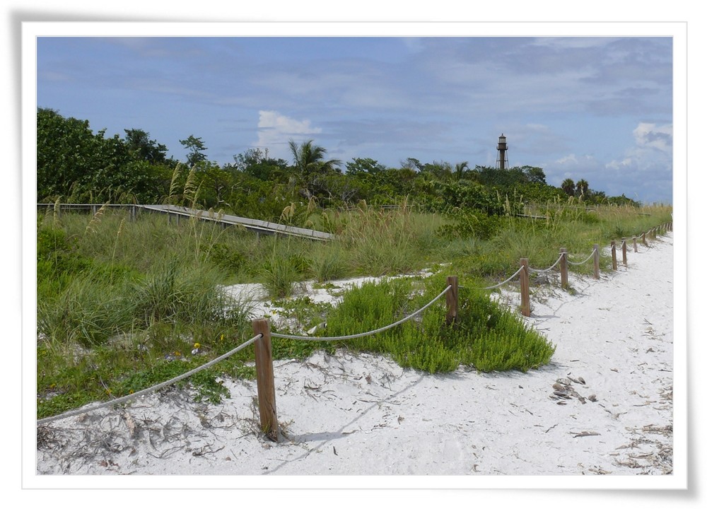 Sanibel Island II