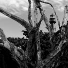 Sanibel Lighthouse