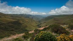 Sanipass 2