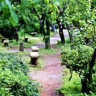 Sankeien Garden (Yokohama)