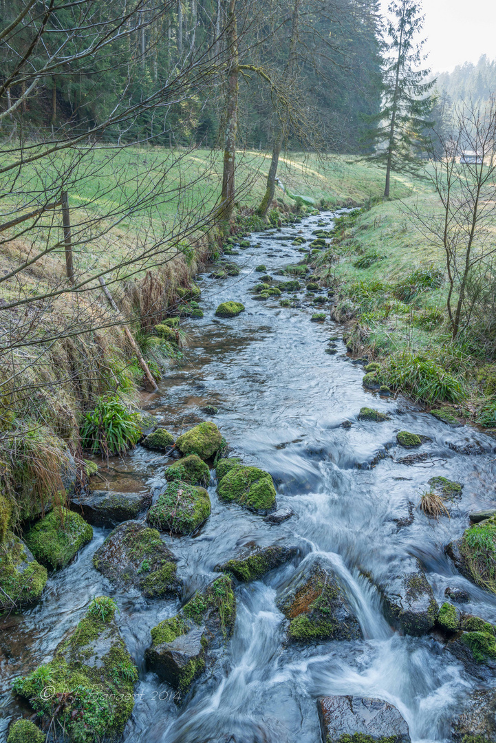 Sankenbacher Wasserfall 2