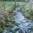 Sankenbacher Wasserfall 2