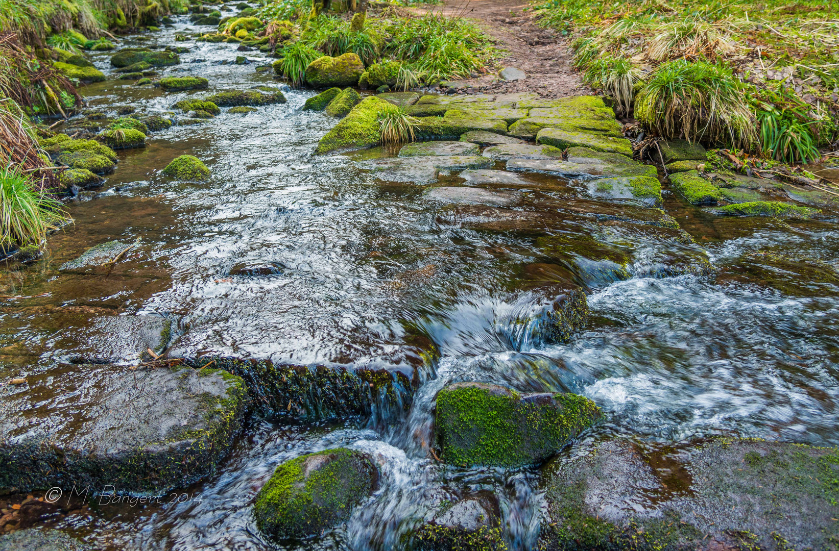 Sankenbacher Wasserfall 3