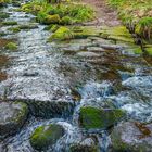 Sankenbacher Wasserfall 3