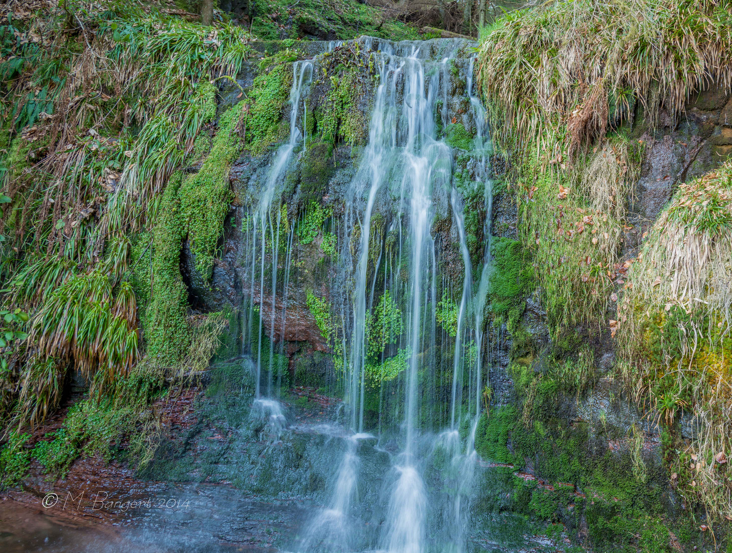 Sankenbacher Wasserfall 7