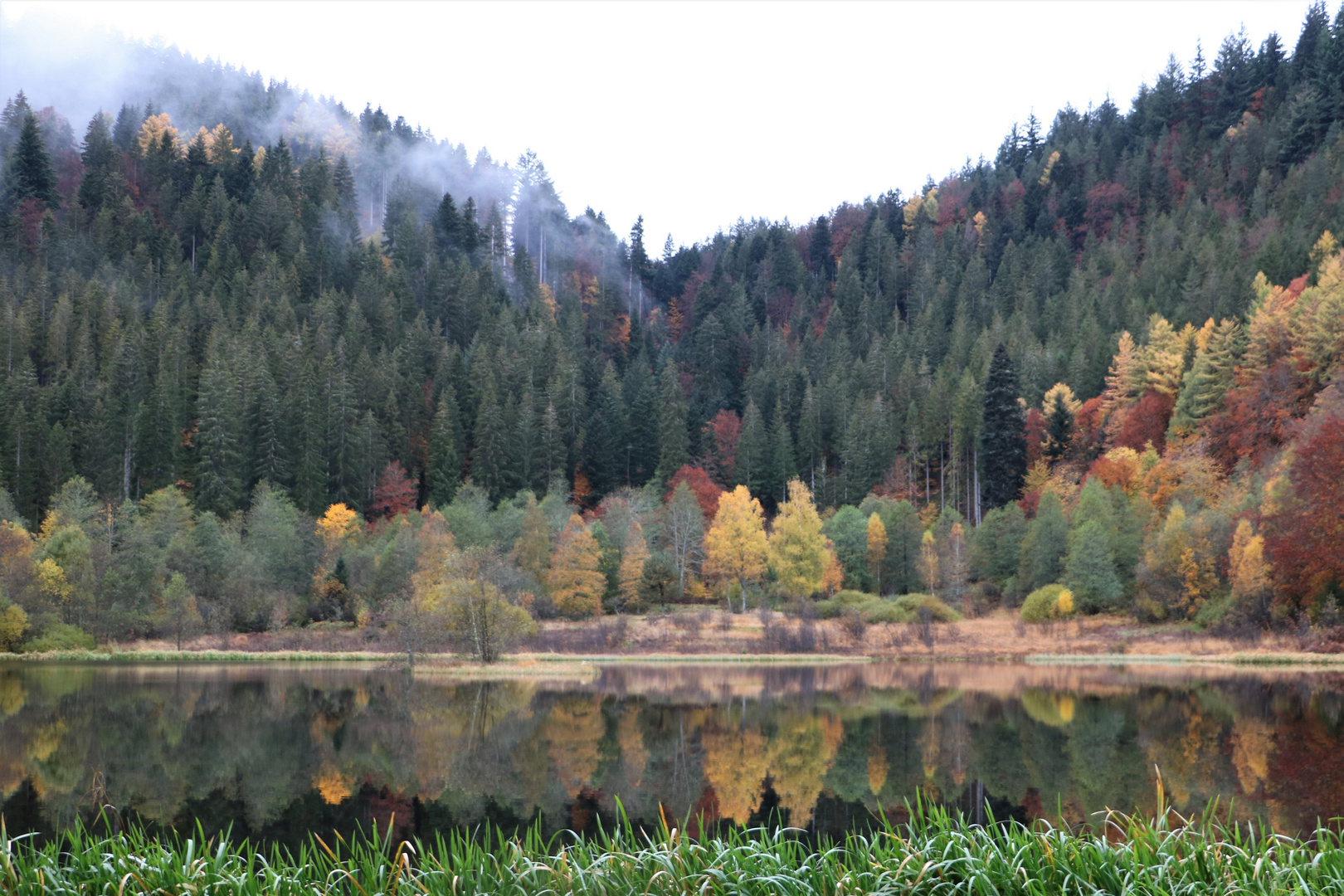 Sankenbachsee