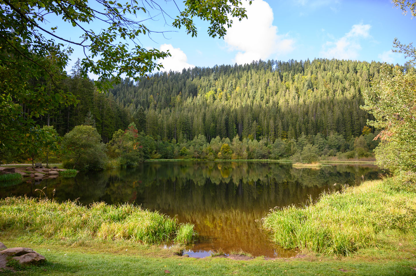 Sankenbachsee