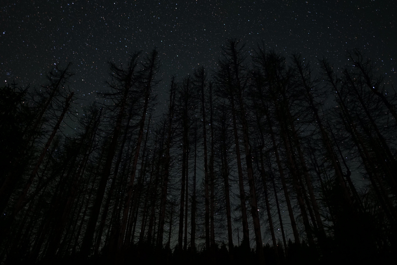 Sankt Andreasberg/Sonnenberg - Harz