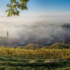 Sankt Martin im Nebel