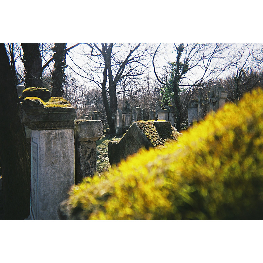 Sankt Marxer Friedhof Wien ...2...