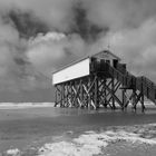 Sankt Peter Ording 01 sw