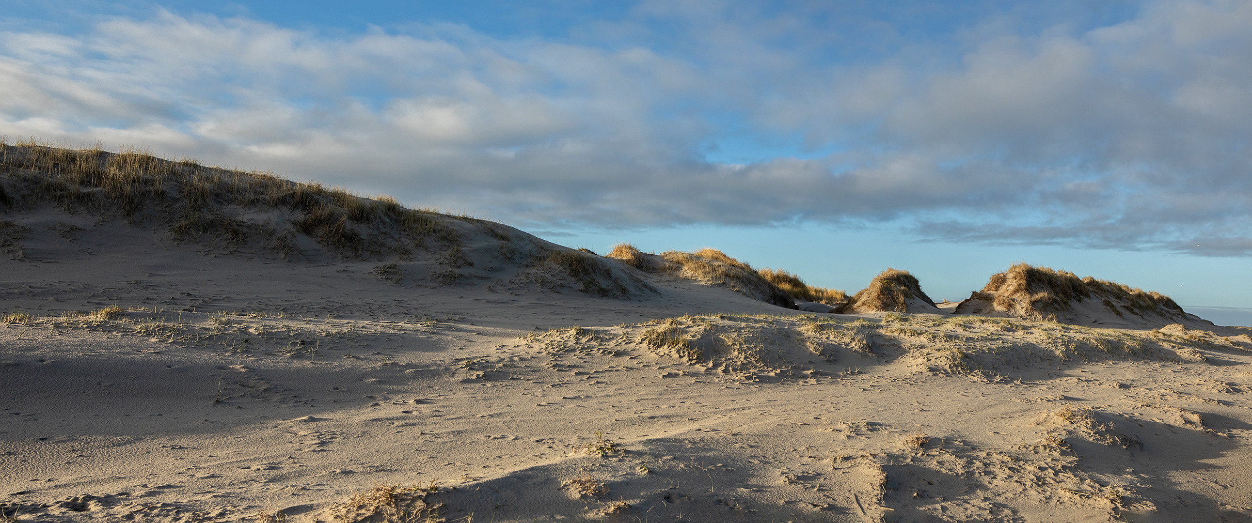 Sankt Peter Ording 041 