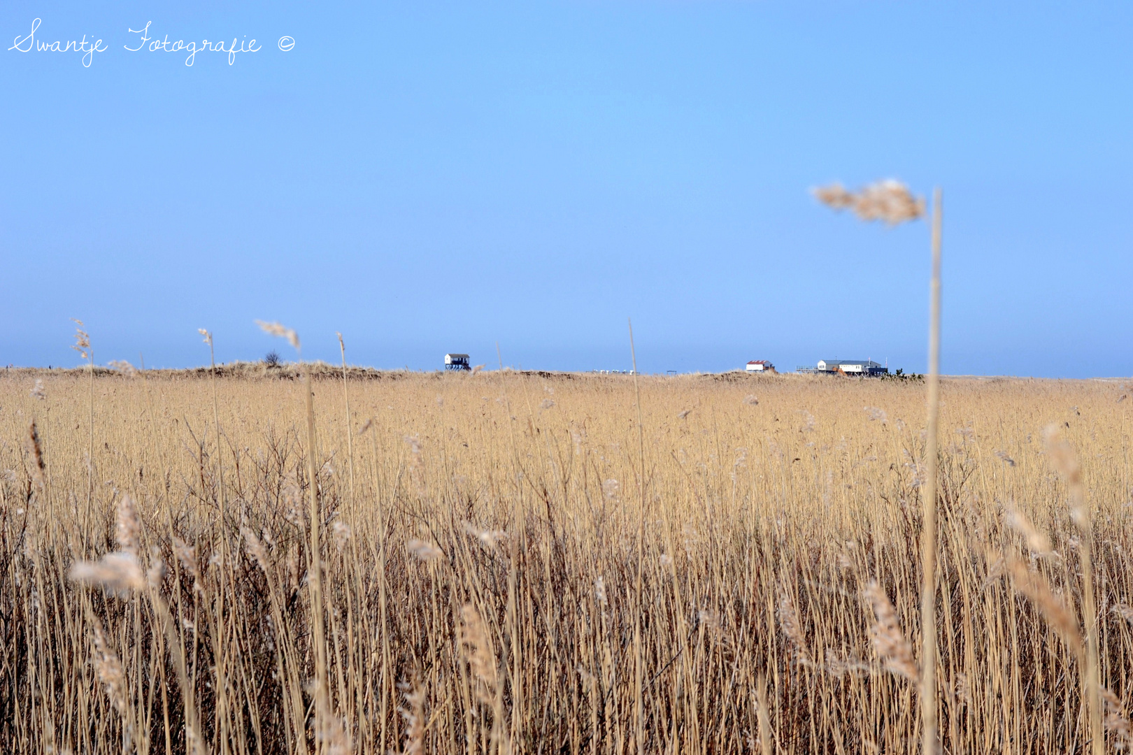 Sankt Peter-Ording