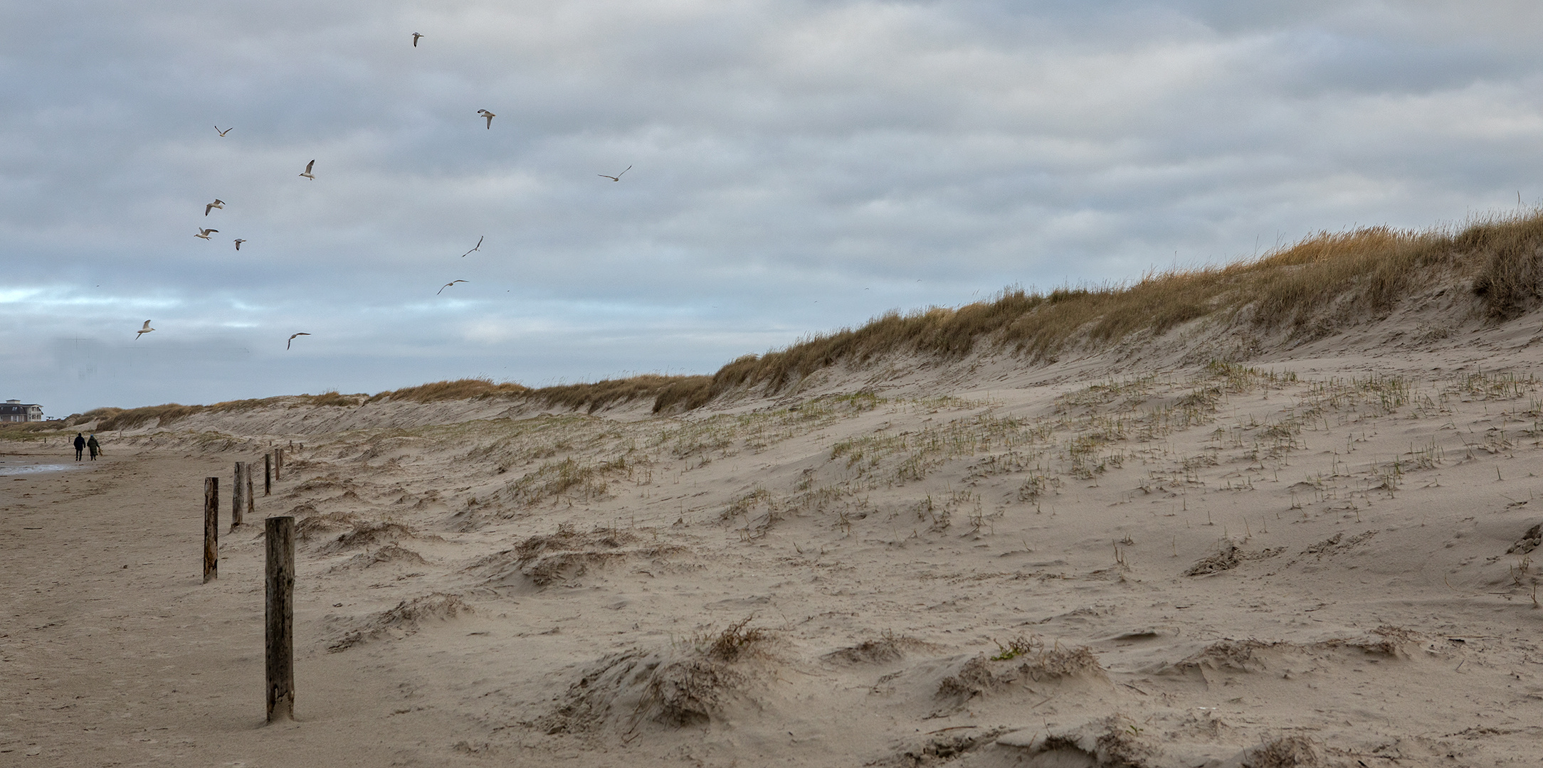 Sankt Peter Ording 052 