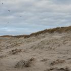 Sankt Peter Ording 052 