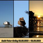 Sankt Peter-Ording