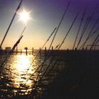 Sankt Peter Ording