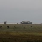 Sankt Peter Ording ...