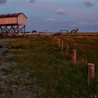 Sankt Peter Ording