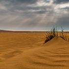 Sankt Peter Ording