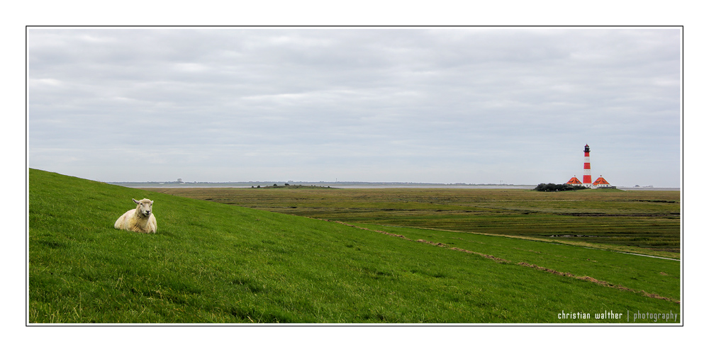 Sankt Peter-Ording