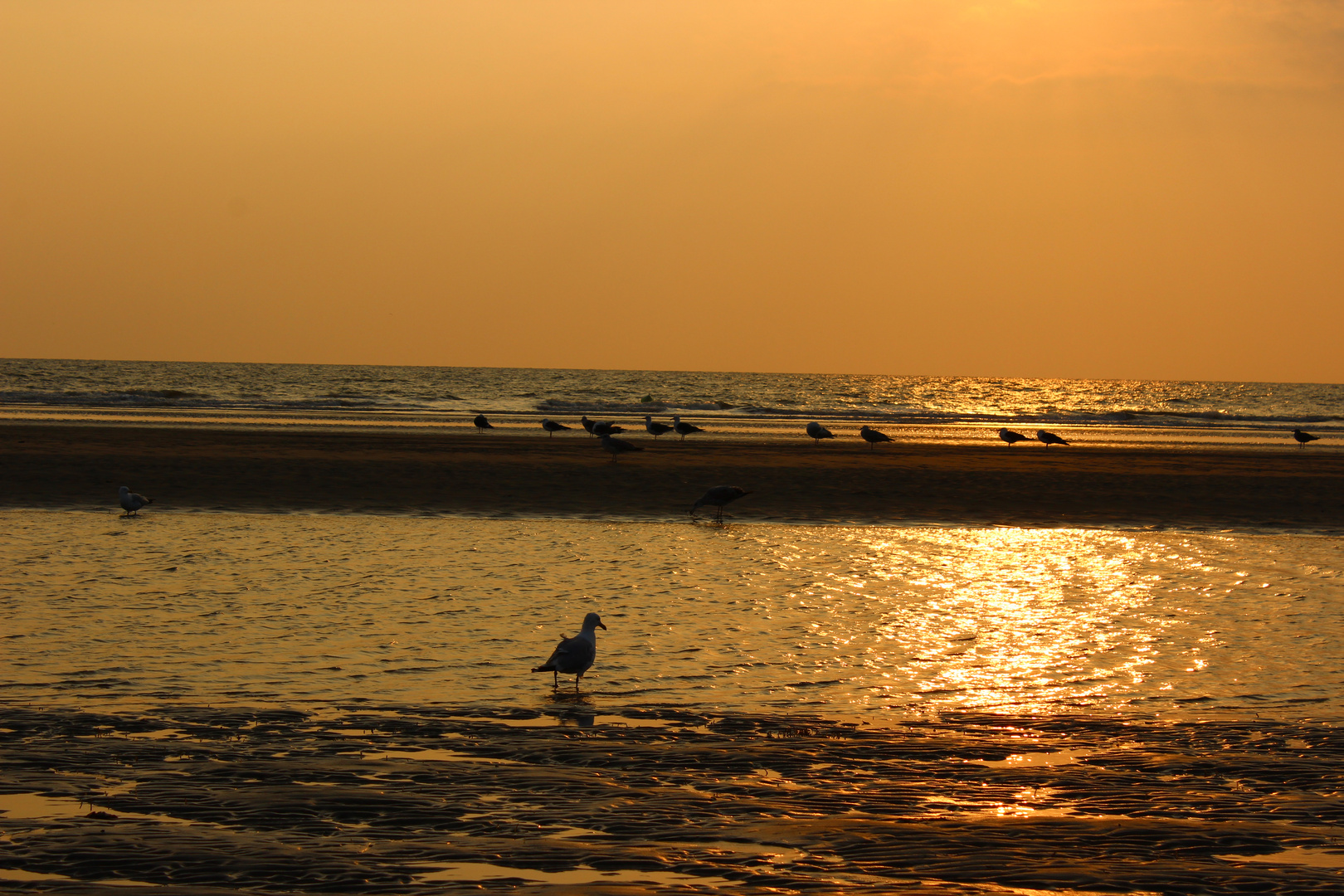 Sankt Peter Ording