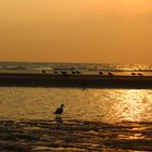 Sankt Peter Ording