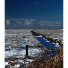 Sankt Peter Ording N°7