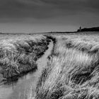 Sankt Peter Ording S/W