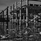 Sankt Peter Ording V