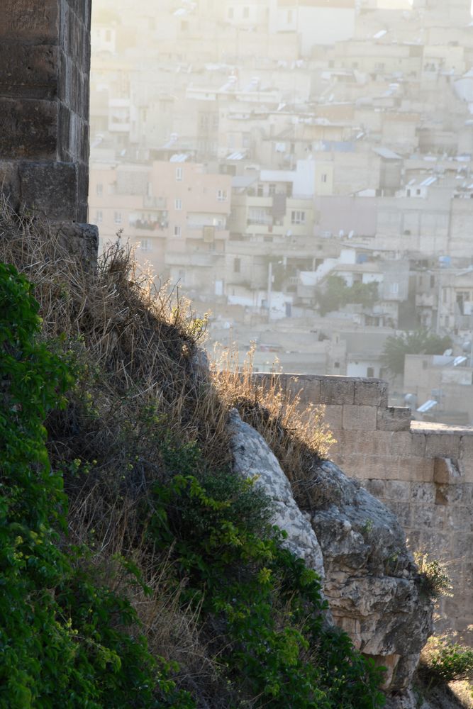 Sanliurfa, antik Edessa,  die Stadt der Propheten, im Abendlicht