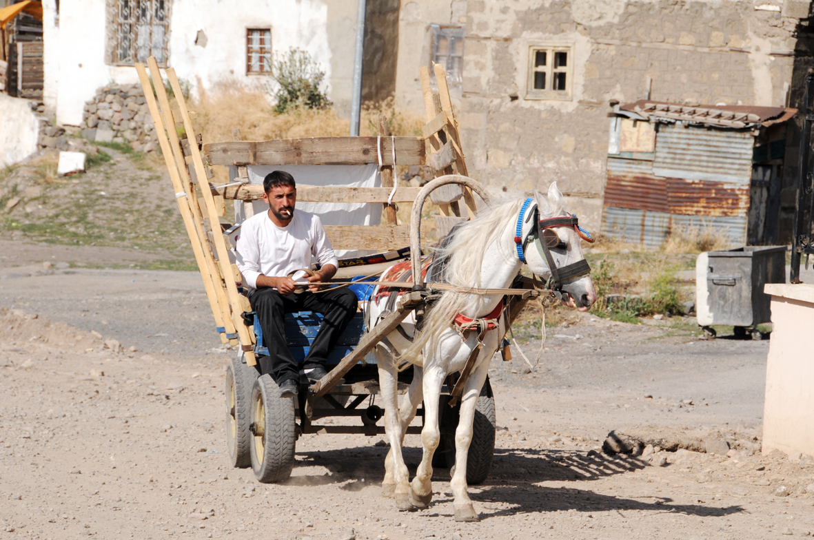 Sanliurfa/Turkei und Erzurum/Türkei