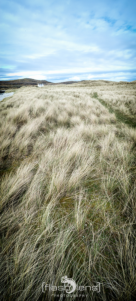 Sanna Beach - on the dunes II