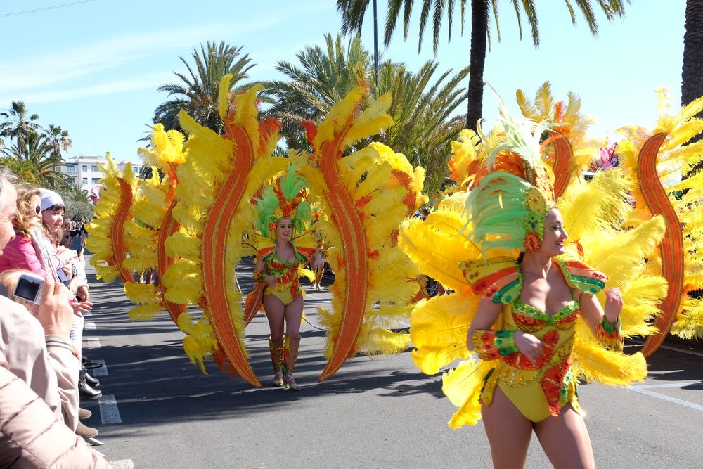 Sanremo in fiore 2015