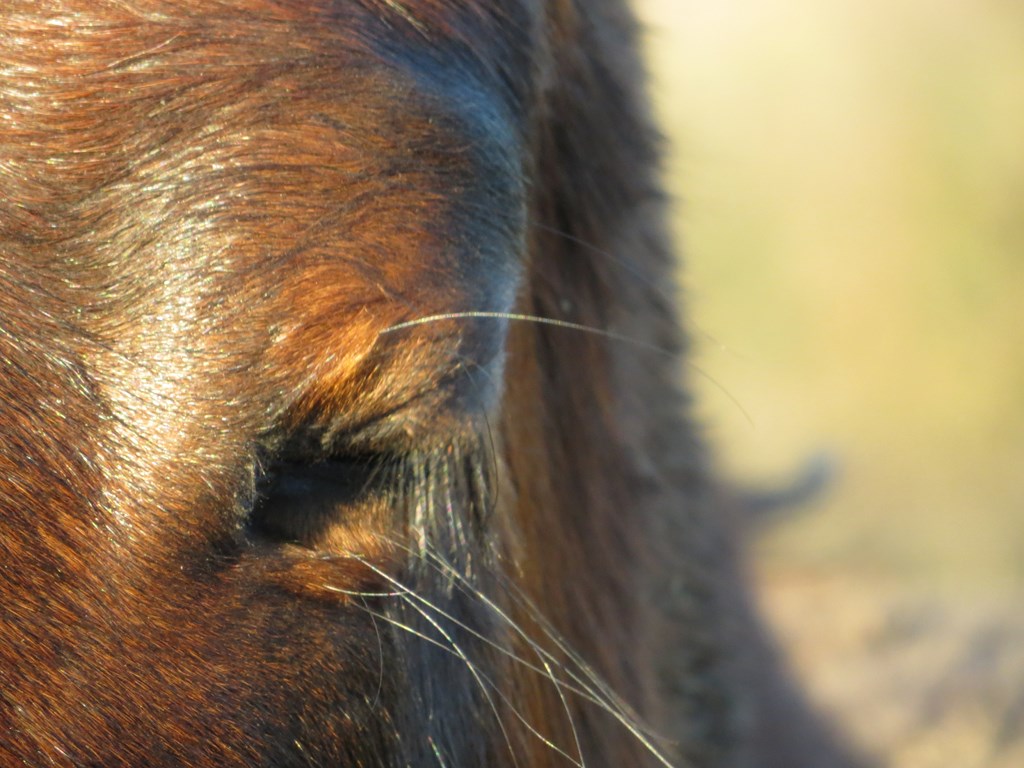 sans un regard