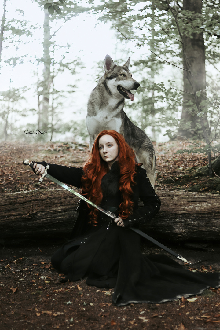 Sansa & her shadow wolf Lady