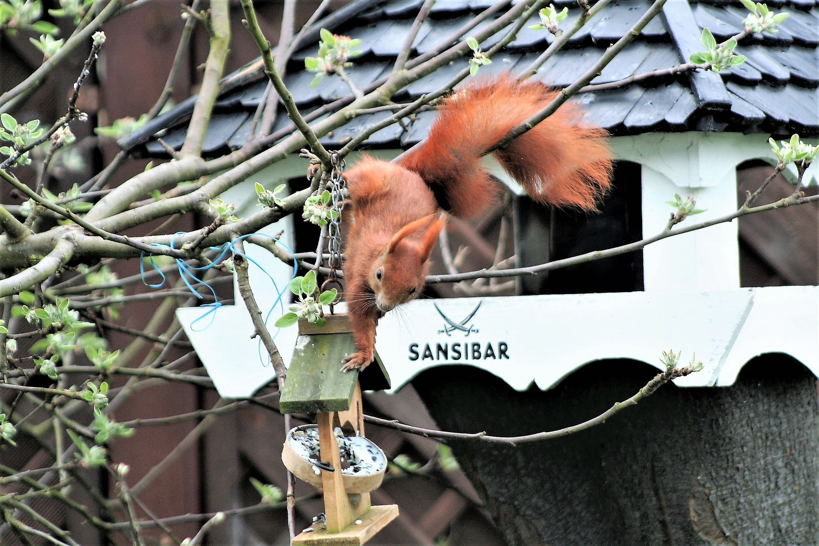 Sansibar ist wunderbar!