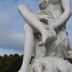 Sanssouci #8