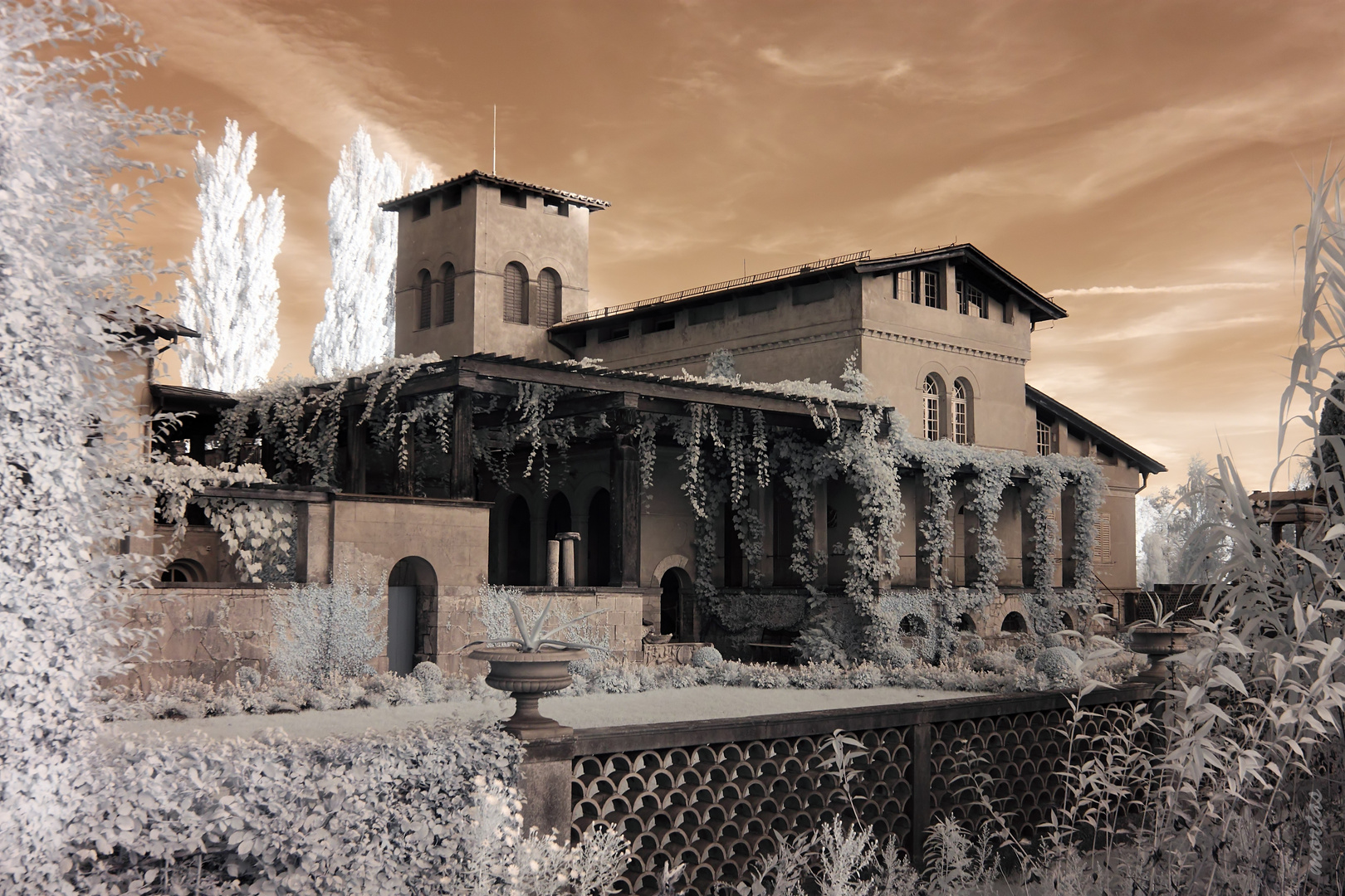 Sanssouci I [IR]