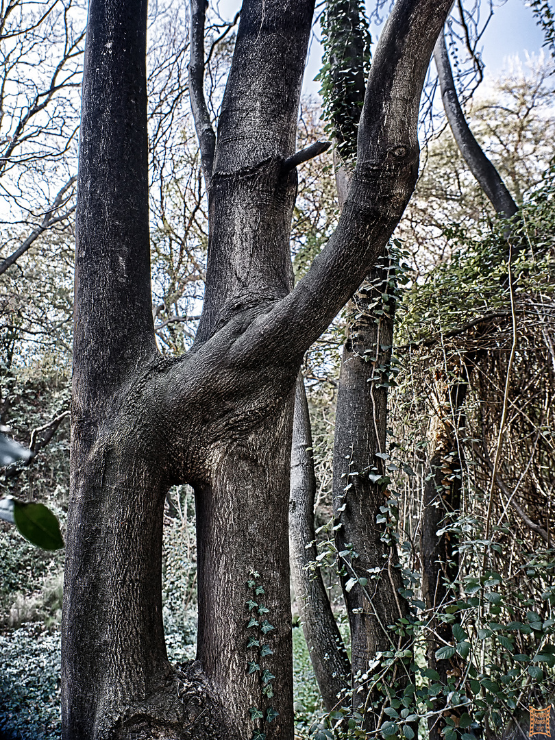 Sant Cugat 22 HDR