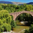 SANT JOAN DE LES ABADESSES (Girona)